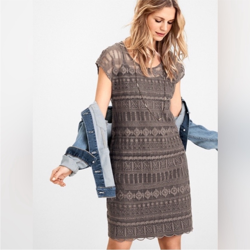 Garnet Hill Embroidered Gray Lace Embroidered Romantic Dress Size 10 - Picture 2 of 13